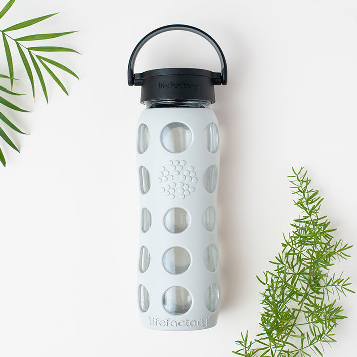 Lifefactory glass water bottle laying between some greenery.
