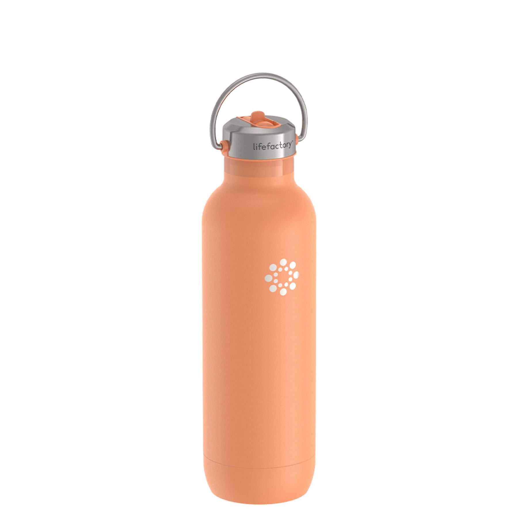 24 oz Insulated Water Bottle With Straw Lid & Spout Lid,Reusable