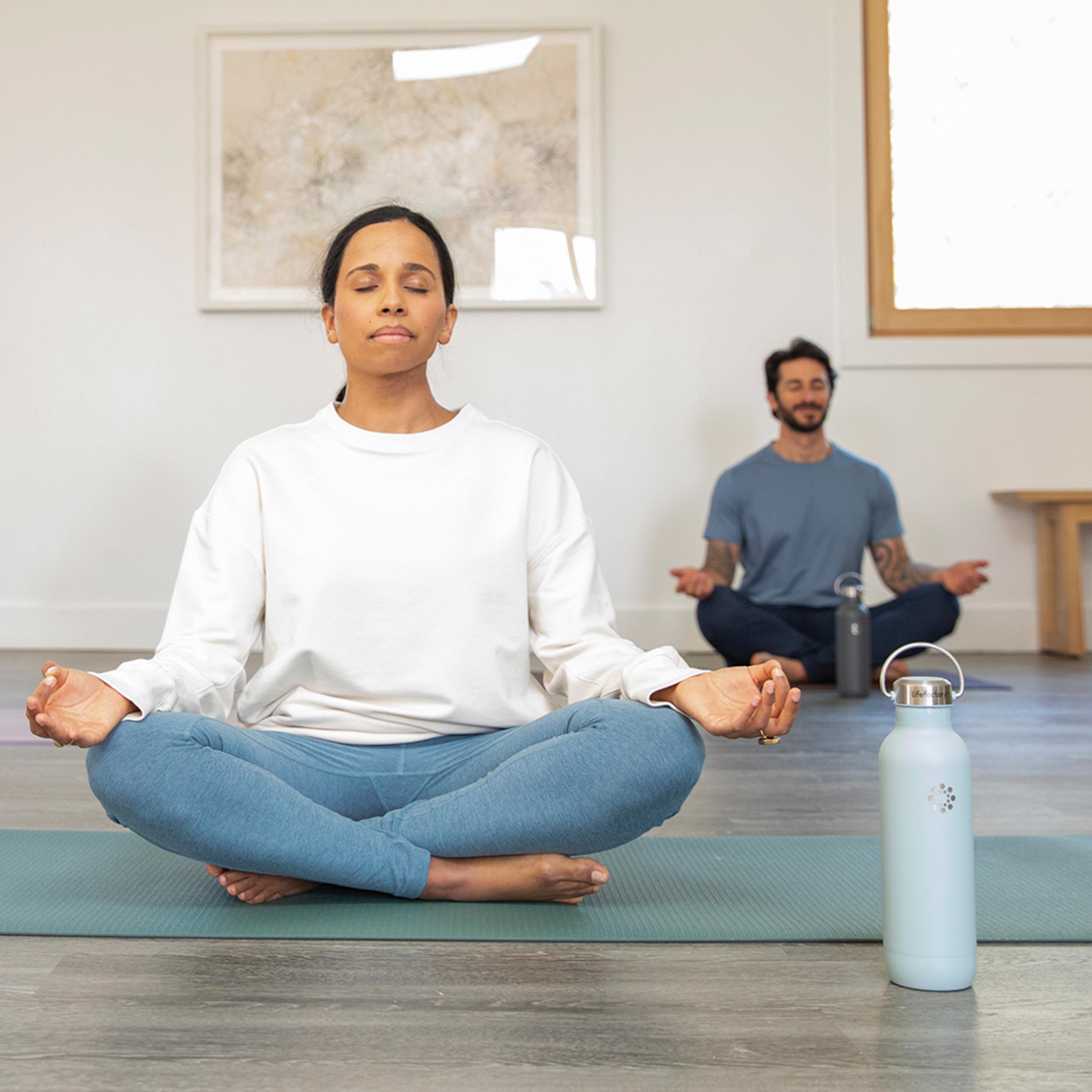 ミネラルウォーター Life Essence Water Life Series 0 1000ml Pure Life Spring Water, 12x330ml, Imported from Canada